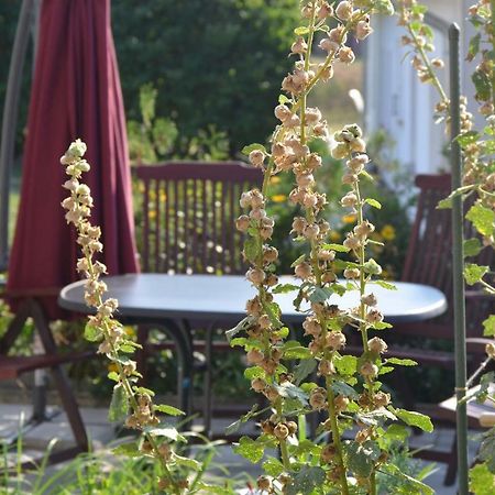 Feriendomizil-Usetom Villa Юкериц Екстериор снимка
